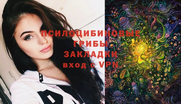spice Балабаново